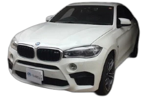 X6 M