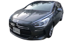 ＤＳ５