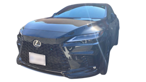 RX売買実績画像