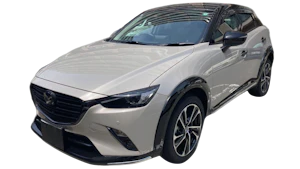 ＣＸ－３