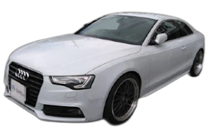 A5