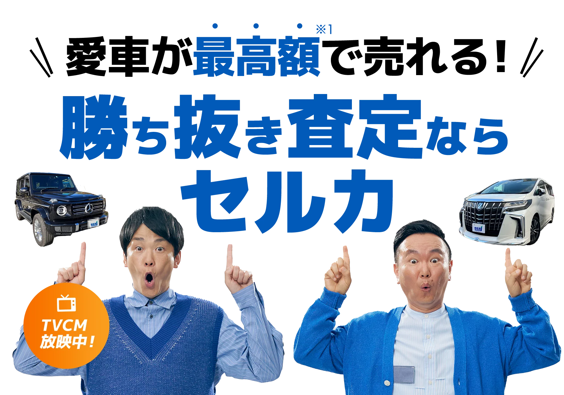 セルカメイン画像