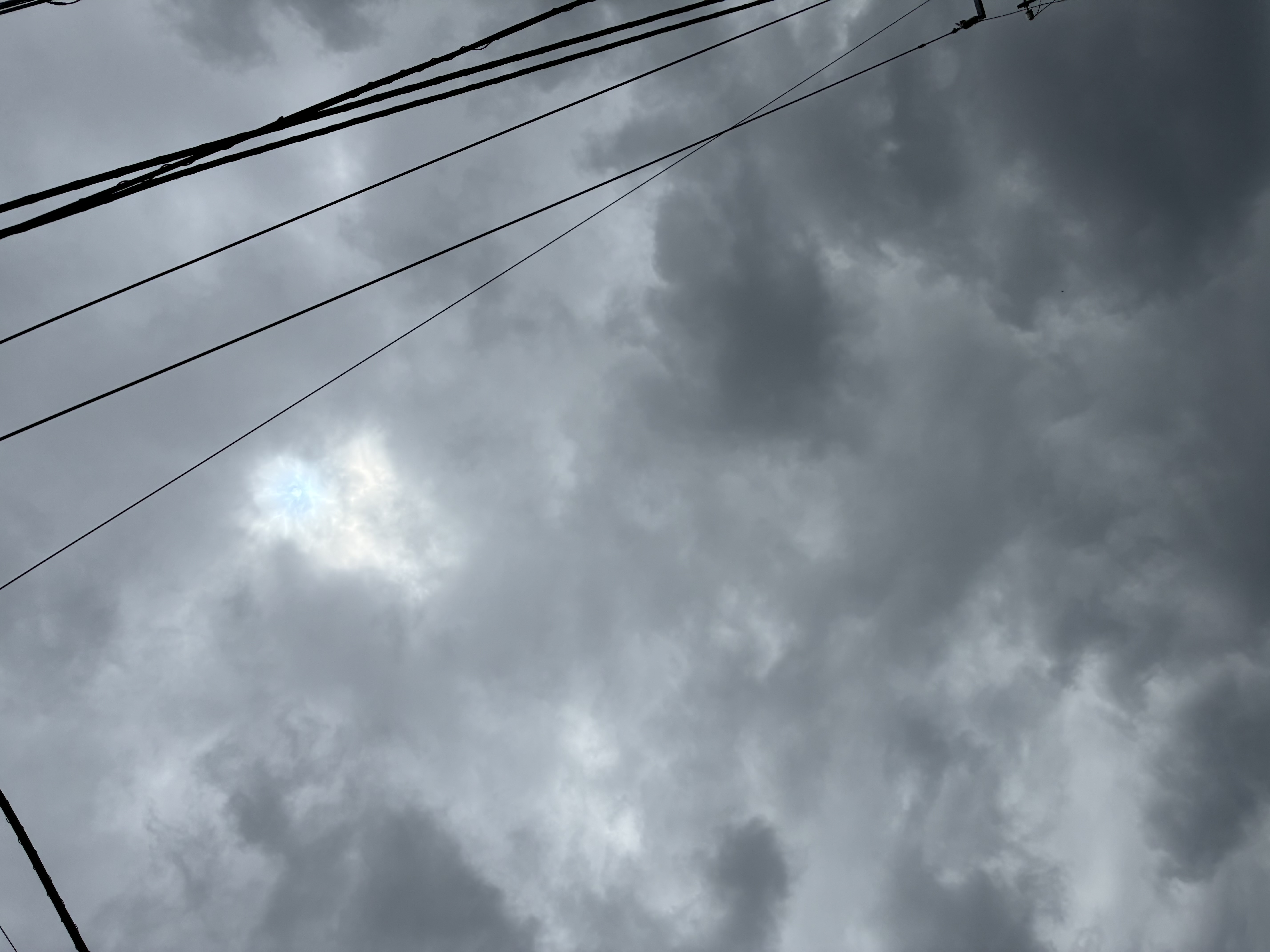 明日に希望を