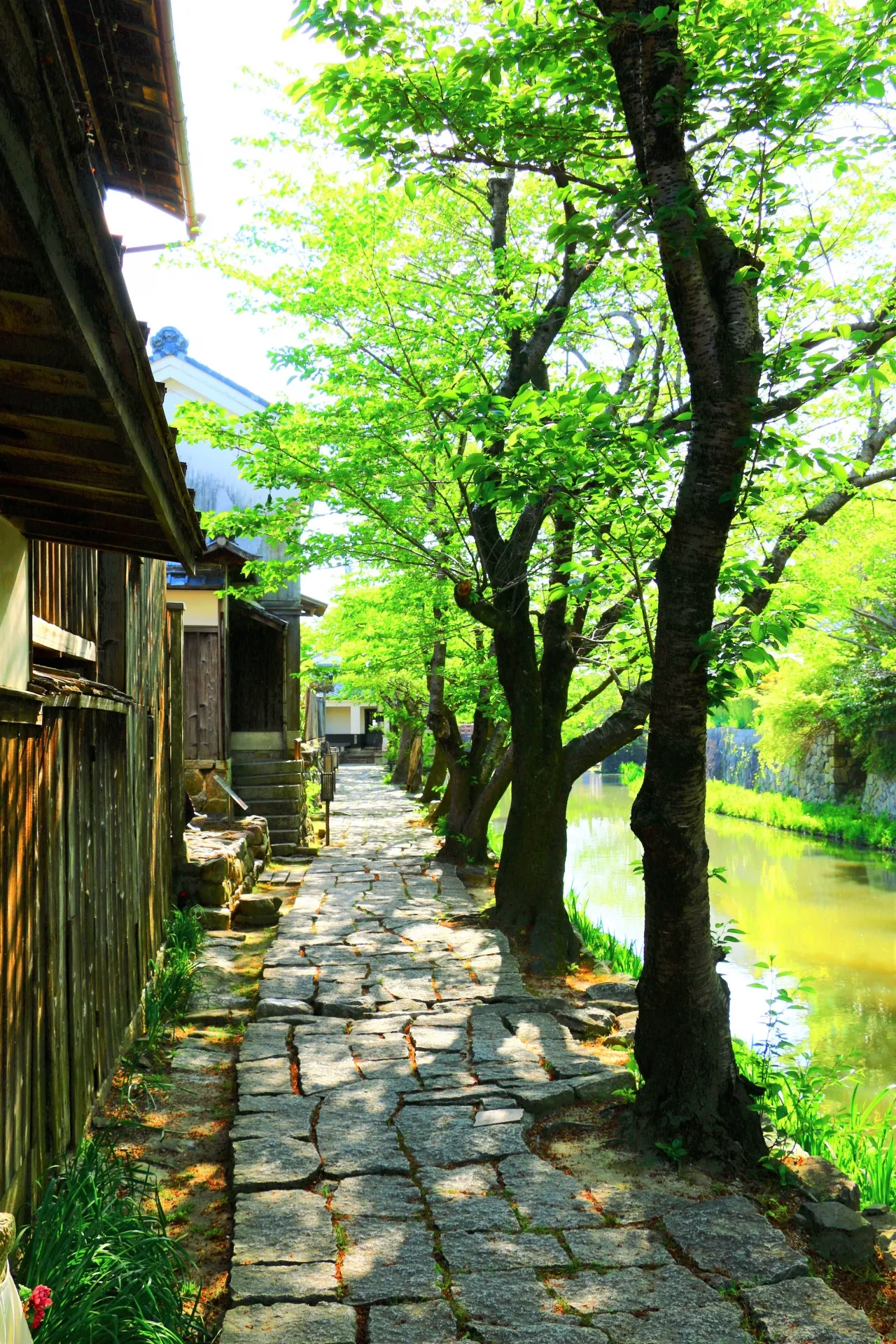 近江八幡の風景