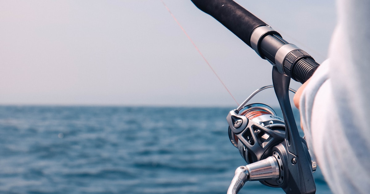 釣り道具の選び方：初心者から中級者まで目的別ガイド【2024年最新版 