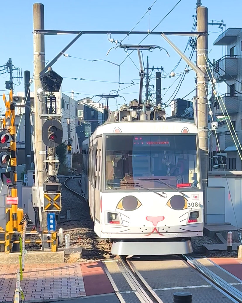 lucky maneki neko train “Kofuku-no-Manekineko Densha”