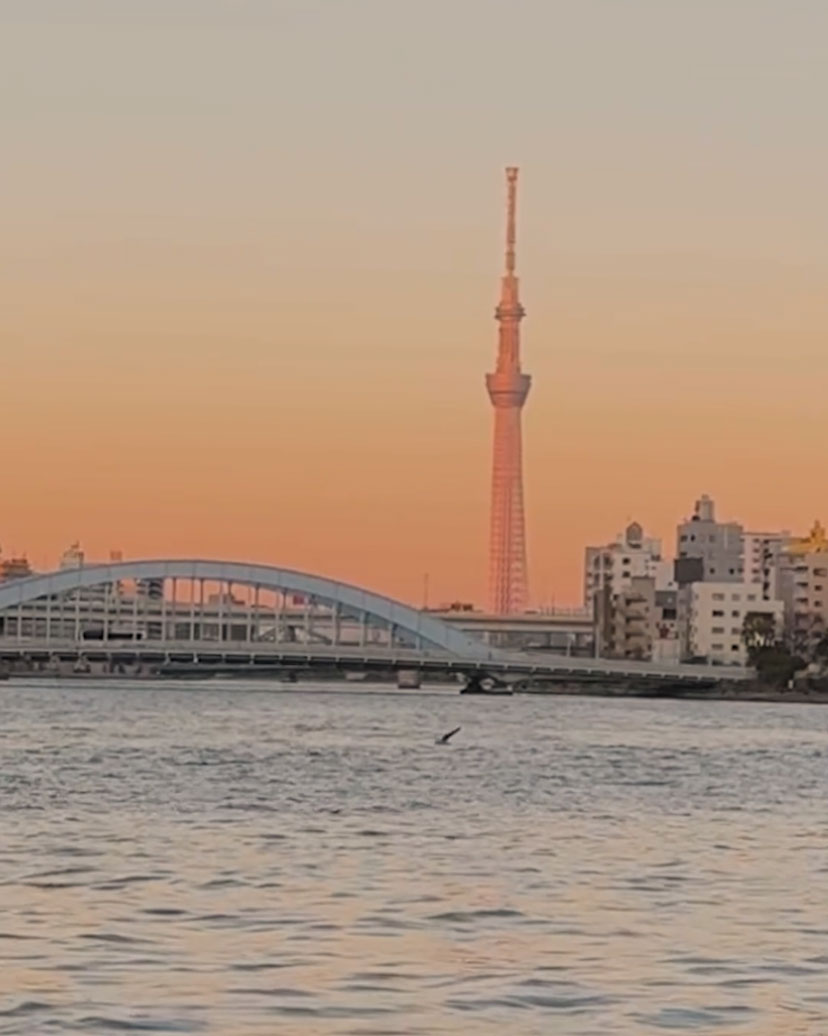 Sumida River Terrace