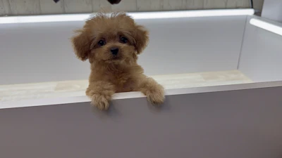 お問合せネーム・645ちゃんの写真 2