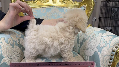 お問合せネーム・622ちゃんの写真 5