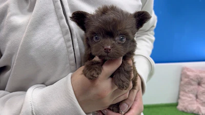 お問合せネーム・039ちゃんの写真 5