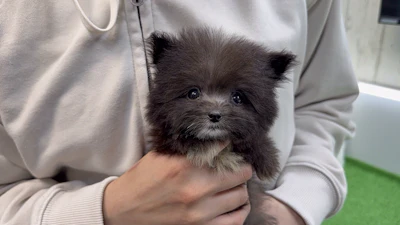 お問合せネーム・236ちゃんの写真 2