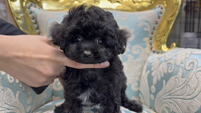 お問合せネーム542ちゃんの写真 3