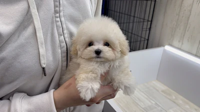 お問合せネーム・143ちゃんの写真 6