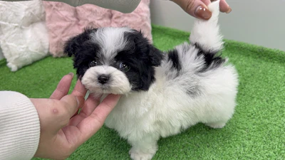 お問合せネーム・119ちゃんの写真 4