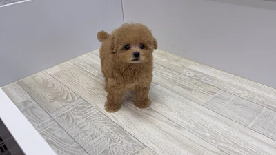 お問合せネーム・696くんの写真 5