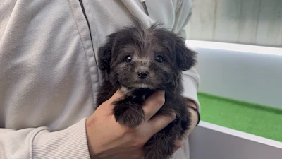 お問合せネーム・800ちゃんの写真 4