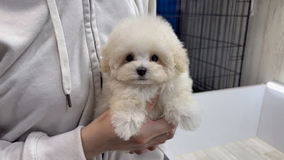 お問合せネーム・143ちゃんの写真 9