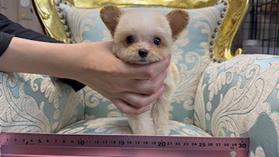 お問合せネーム・879ちゃんの写真 1