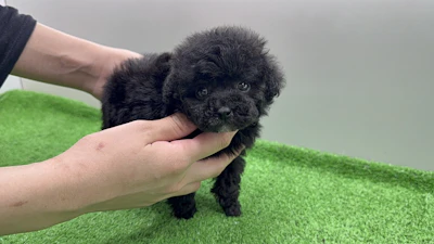 お問合せネーム・207くんの写真 5