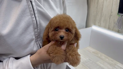お問合せネーム・538ちゃんの写真 6