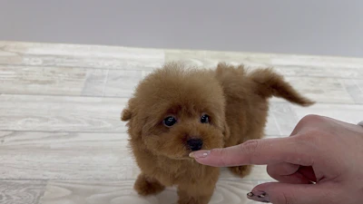 お問合せネーム・384ちゃんの写真 7