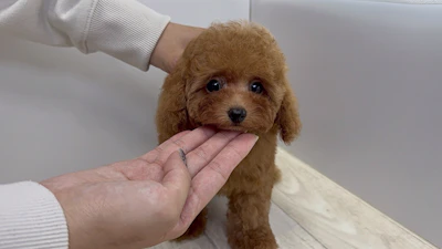 お問合せネーム・538ちゃんの写真 2