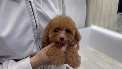 お問合せネーム・538ちゃんの写真 5