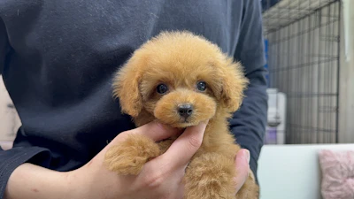 お問合せネーム・030ちゃんの写真 5