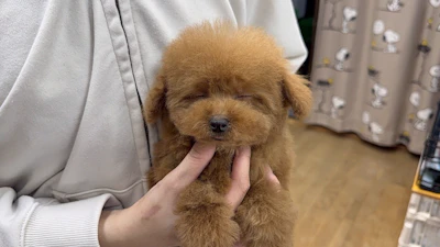 お問合せネーム・384ちゃんの写真 8
