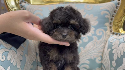 お問合せネーム・282ちゃんの写真 3