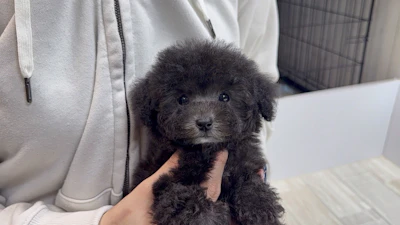 お問合せネーム・972ちゃんの写真 5