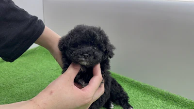 お問合せネーム・207ちゃんの写真 3