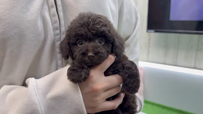 お問合せネーム・660ちゃんの写真 2