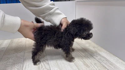 お問合せネーム・602ちゃんの写真 6