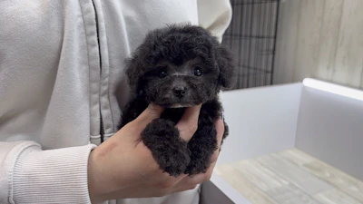 お問合せネーム・037ちゃんの写真 8