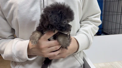 お問合せネーム・602ちゃんの写真 4