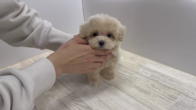 お問合せネーム・178ちゃんの写真 5