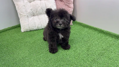 お問合せネーム・762くん