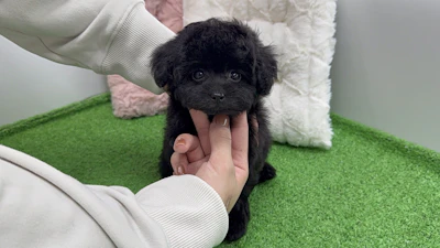 お問合せネーム・532ちゃんの写真 5