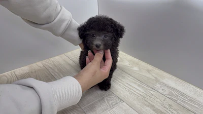 お問合せネーム・708ちゃんの写真 3