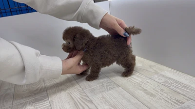 問い合わせネーム・566ちゃんの写真 4