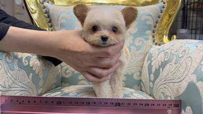 お問合せネーム・879ちゃんの写真 2