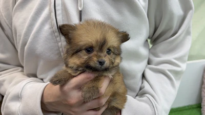 お問合せネーム・123ちゃんの写真 5