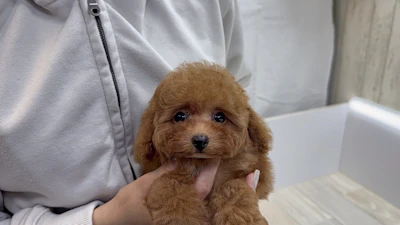 お問合せネーム・538ちゃんの写真 3