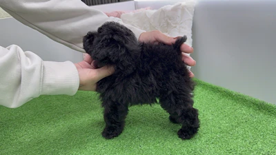 お問合せネーム・532ちゃんの写真 8