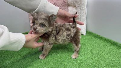 お問合せネーム・910くんの写真 7