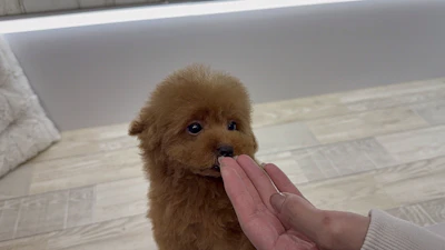お問合せネーム・384ちゃんの写真 5