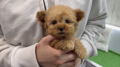 お問合せネーム・338くんの写真 2