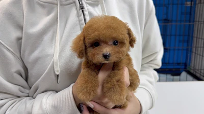 お問合せネーム・541ちゃんの写真 2