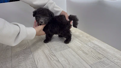 お問合せネーム・708ちゃんの写真 5